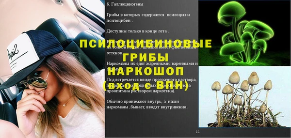 не бодяженный Арсеньев